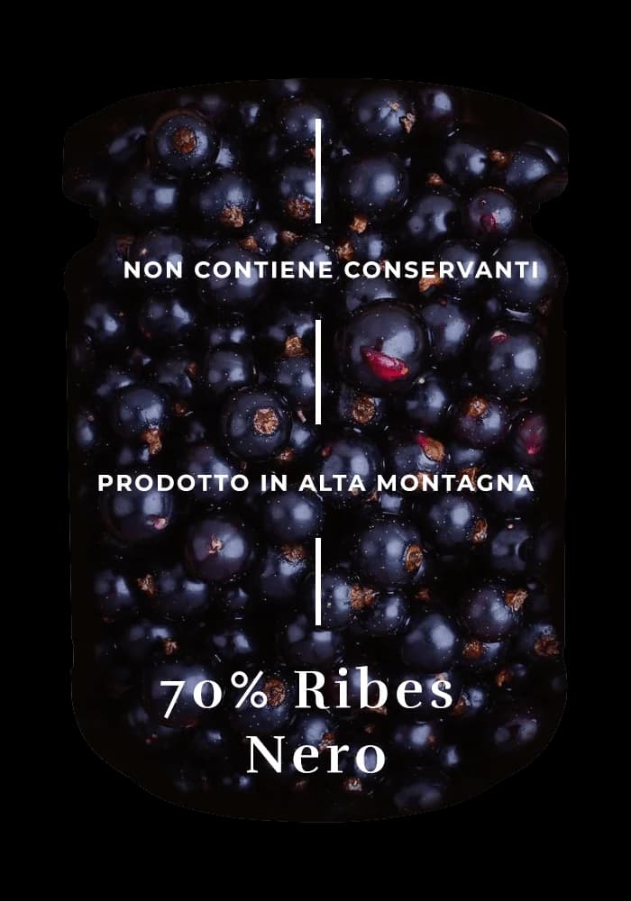 Design ingredienti composta ribes nero
