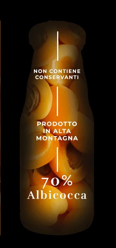 Design ingredienti succo albicocca